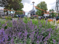 25_AnnemiekCornelissen_Houttuin_bloemen