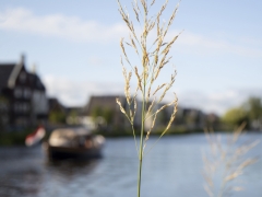 29_patricktenvelden_ringvaart