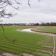 02 _ Tonny de Rooij _ Veenenburgerlaan