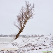 06 _ Tonny de Rooij _ Veenenburgerlaan