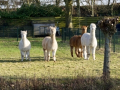 09 _ Tonny de Rooij _ Veenenburgerlaan