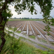 25_ Tonny de Rooij _ Veenenburgerlaan