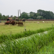 26_ Tonny de Rooij _ Veenenburgerlaan