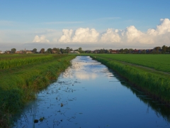 40 _ Tonny de Rooij _ Veenenburgerlaan