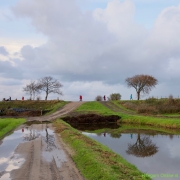 48 _ Tonny de Rooij _ Veenenburgerlaan