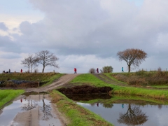 48 _ Tonny de Rooij _ Veenenburgerlaan