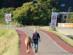 31.-Tony-Whelan-Veenenburgerlaan-