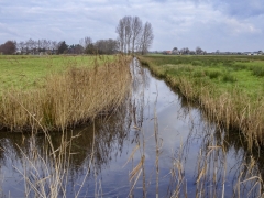 01_Weerlanerpolder_Frank-Out