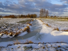 05_Weerlanerpolder_Frank-Out