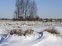 06_Weerlanerpolder_Frank-Out