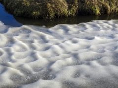 07_Weerlanerpolder_Frank-Out