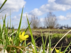 11_Weerlanerpolder_Frank-Out