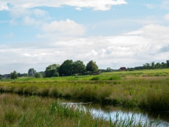 24_Weerlanerpolder_Frank-Out