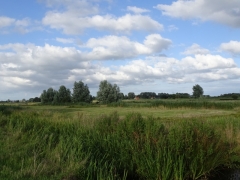 27_Weerlanerpolder_Frank-Out