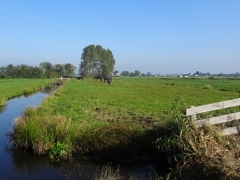 40_Weerlanerpolder_Frank-Out