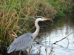 43_Weerlanerpolder_Frank-Out