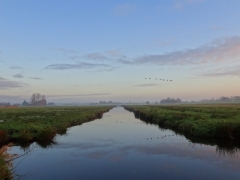 45_Weerlanerpolder_Frank-Out