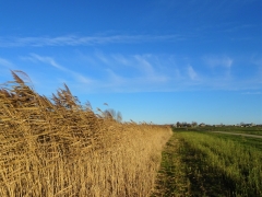 48_Weerlanerpolder_Frank-Out