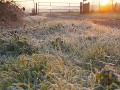 05-Sandra-Knopers-Zandlaan-Winterrustlaan-Vorst-en-zonsopgang-wei