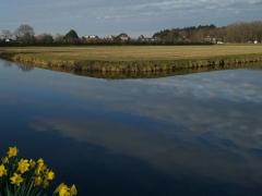 13-Sandra-Knopers-Zandlaan-wolken-en-narcissen