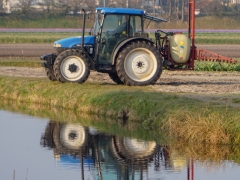 16-Sandra-Knopers-Zandlaan-blauwe-tractor-op-land