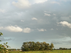 38-Sandra-Knopers-Zandlaan-Weilanden-en-Bos-achter-Zandlaan