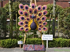 180422 - bloemenmozaiek in de buurt