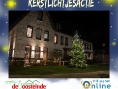 Kerstboom Waalsteenhof