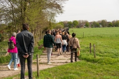 240413-koeien-naar-buiten-114