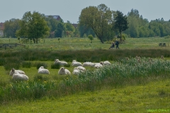 IK_09843-Bewerkt