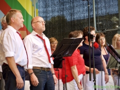 190629-Middagprogramma-Hillegoms-muziekfeest-2019-130