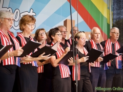 190629-Middagprogramma-Hillegoms-muziekfeest-2019-163