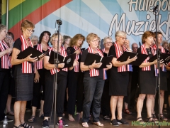 190629-Middagprogramma-Hillegoms-muziekfeest-2019-166