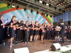 190629-Middagprogramma-Hillegoms-muziekfeest-2019-167