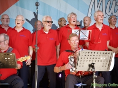 190629-Middagprogramma-Hillegoms-muziekfeest-2019-174