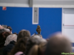 191228-roofvogelshow102