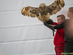 191228-roofvogelshow136