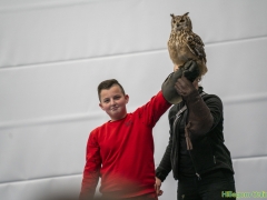 191228-roofvogelshow137