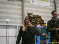 191228-roofvogelshow140