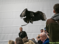 191228-roofvogelshow145