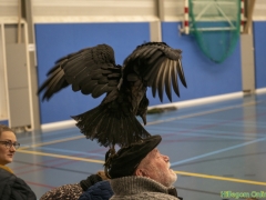 191228-roofvogelshow146