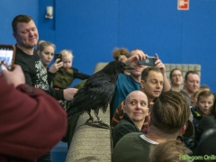 191228-roofvogelshow148