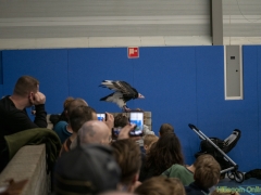 191228-roofvogelshow155