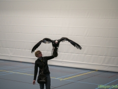 191228-roofvogelshow157