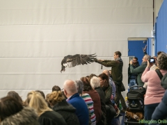 191228-roofvogelshow161