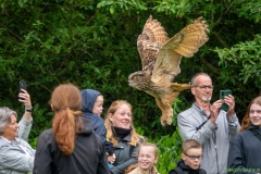 IKpictures-Roofvogelshow-Keukenhofbos-005