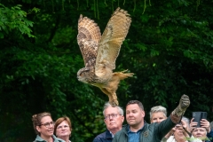 IKpictures-Roofvogelshow-Keukenhofbos-006