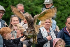 IKpictures-Roofvogelshow-Keukenhofbos-012