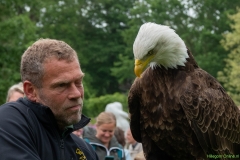 IKpictures-Roofvogelshow-Keukenhofbos-027