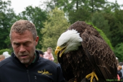 IKpictures-Roofvogelshow-Keukenhofbos-028